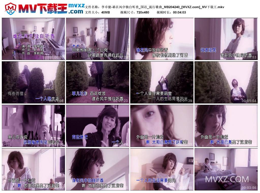 李卓骏-谁在风中独自听香_国语_流行歌曲_MB204240